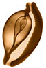 Chestnut Cowrie