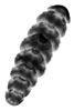 Chiton