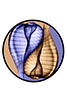 Fig Shell Yin Yang
